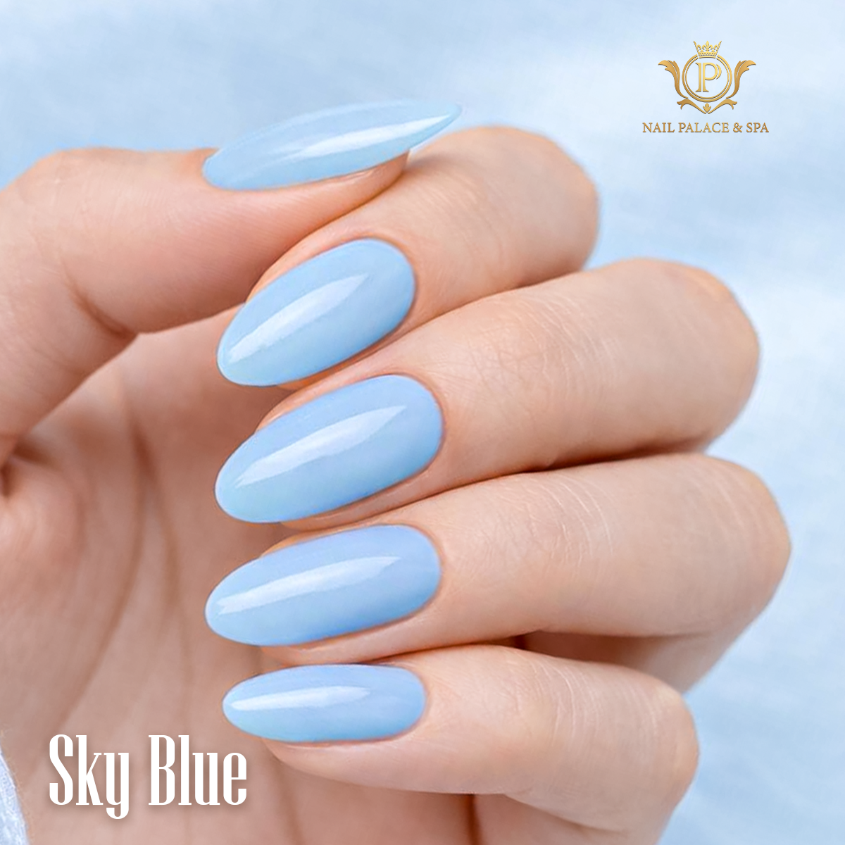 Nail Palace & Spa nail photo 7